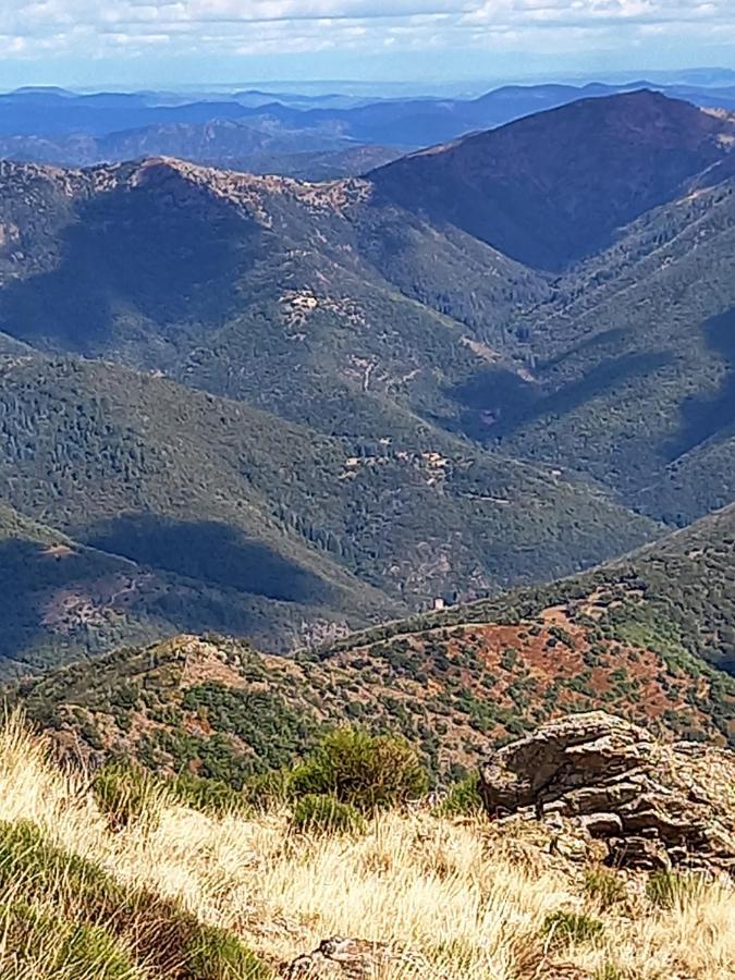 Gite En Cevennes Du Sud, Bergerie Restauree Au Rez De Jardin D'Une Bastide Avec Piscine, Vue Exceptionnelle, Authenticite Et Confort Saint-Laurent-le-Minier Εξωτερικό φωτογραφία